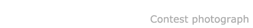 コンテストフォト